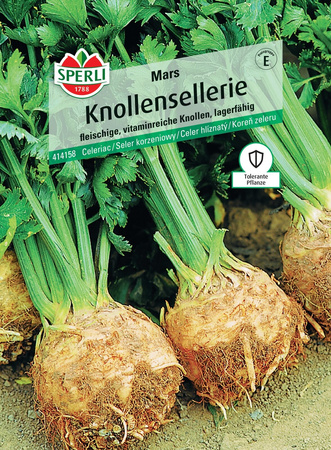 Seler korzeniowy 'Mars' Nasiona PREMIUM Sperli